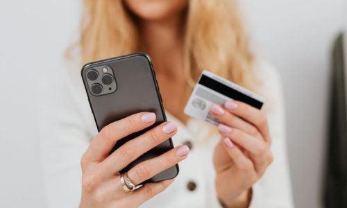 GovernmentPaymentPartner